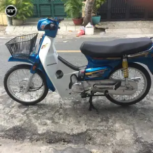 Dream dọn kiểng 2000